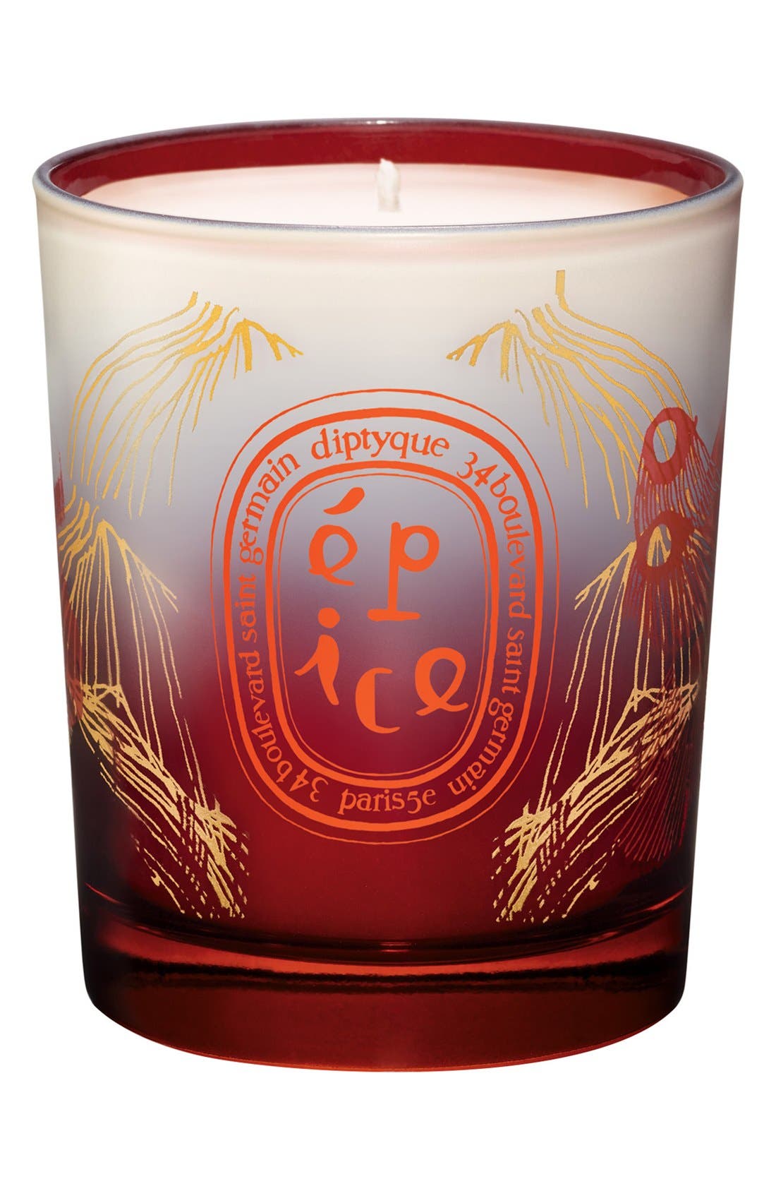 diptyque 'Spice' Candle Nordstrom