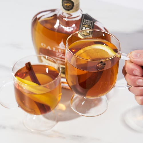 Viski Raye Hot Toddy Glasses Set Of 2 In Clear