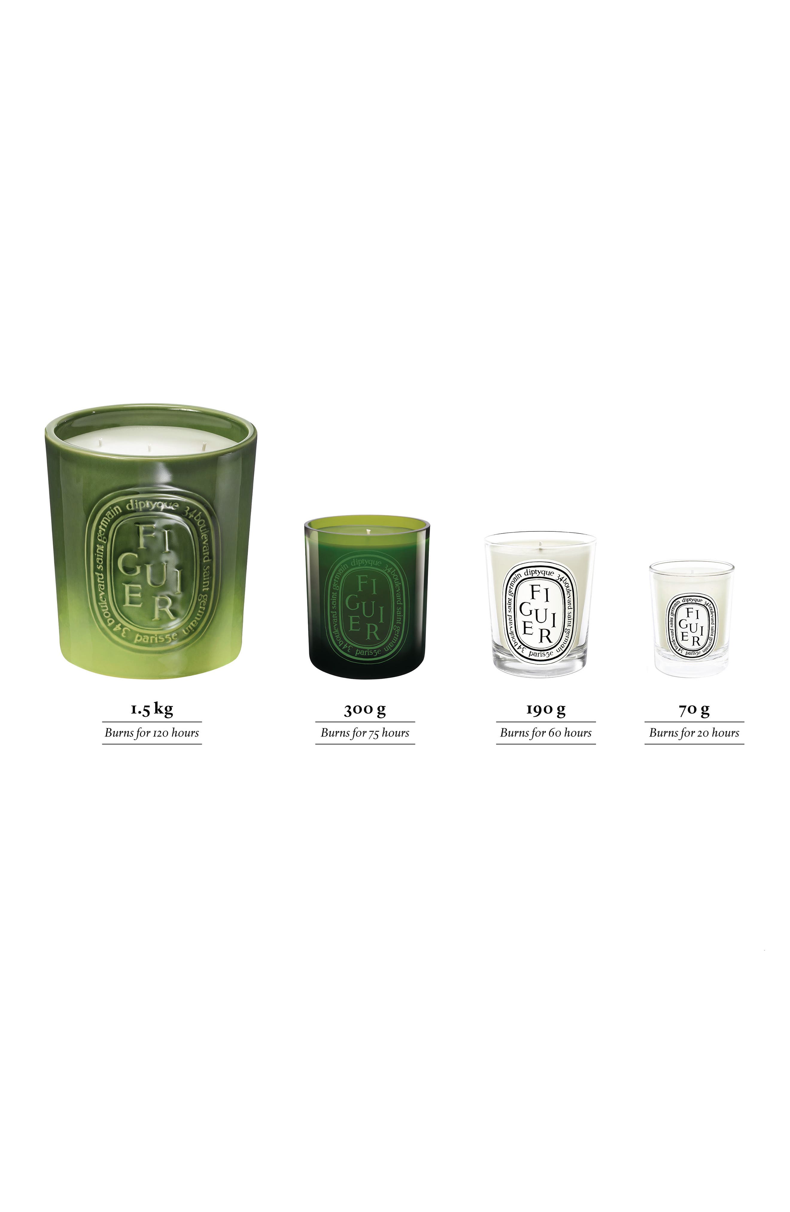 Details about   Diptyque Figuier Candle Open BOX WAX ONLY 