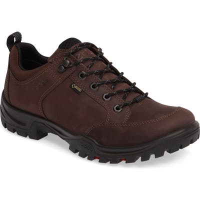 Ecco Biom Hike 1.1 Hiking Shoe - Brown