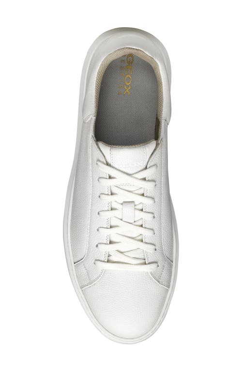 Shop Geox Deiven Sneaker In White