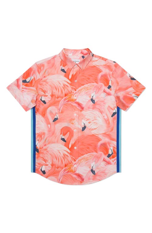 Tailored Fit Flamingo Print Waterproof Short Sleeve Performance Button-Up Shirt in Pink