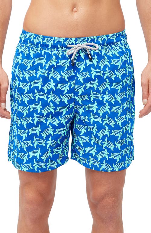 Tom & Teddy Turtle Print Swim Trunks Blue And Ice Green at Nordstrom,