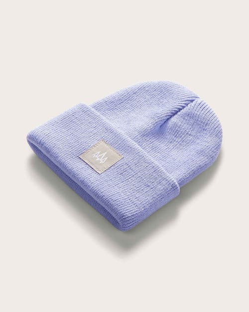 Hemlock Beacon Baby Beanie In Lavender