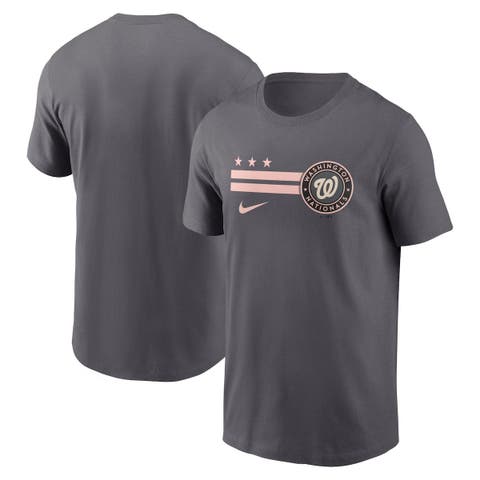 Men's Nike Gray Washington Nationals 2022 City Connect Graphic T-Shirt