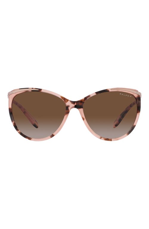 59mm Gradient Polarized Cat Eye Sunglasses in Pink Havana