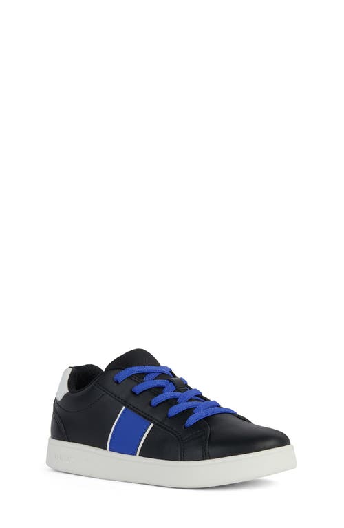 Geox Kids' Eclyper Sneaker In Black/royal