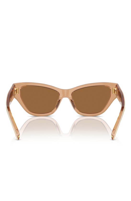 Shop Tory Burch 54mm Cat Eye Sunglasses In Brown
