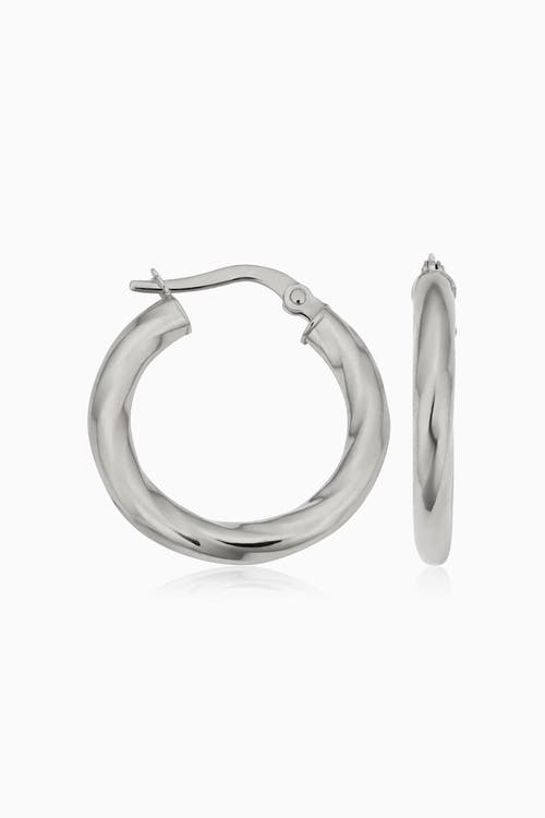 Oradina 14k Gold Goddess Midi Hoops Earrings In White Gold