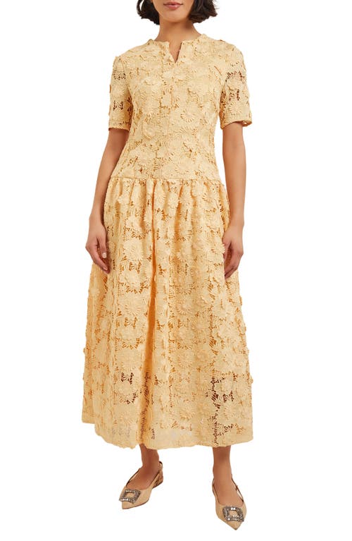Misook Lace Pleated Drop Waist Maxi Dress Pale Gold at Nordstrom,