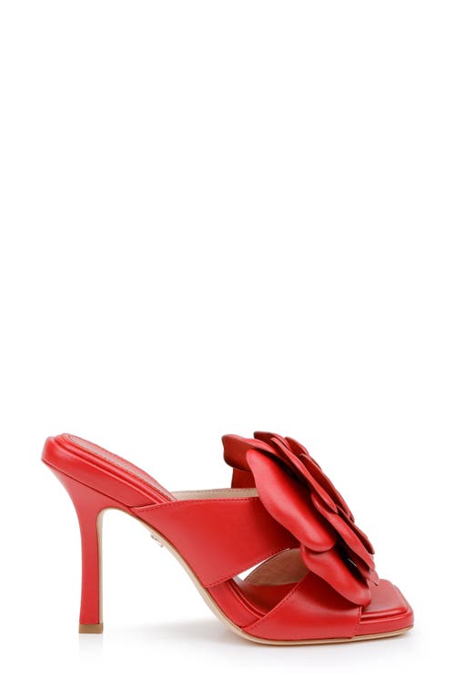 Shop Dee Ocleppo Kingston Slide Sandal In Red Leather