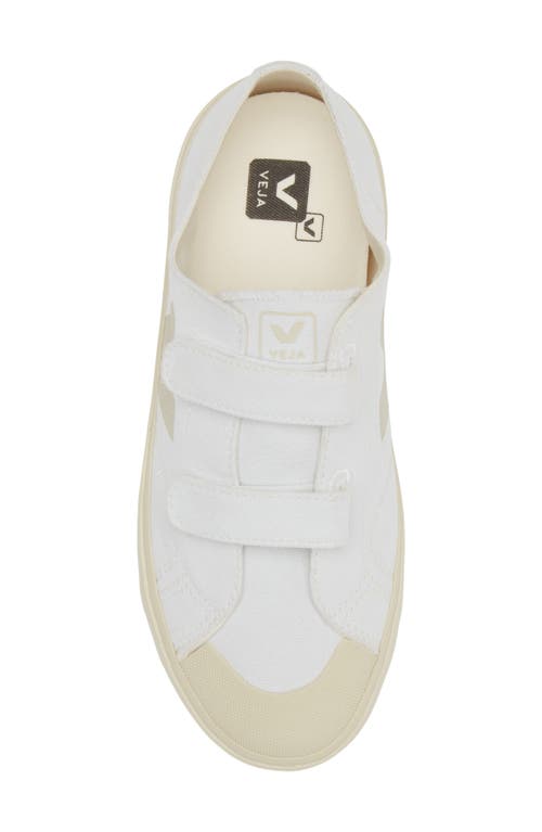 Veja Kids' Small Ollie Sneaker In White/pierre