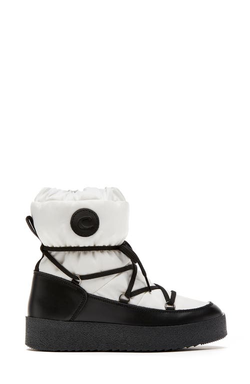 Shop La Canadienne Easton Genuine Shearling Lined Leather Boot In Black White Leather