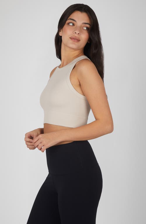 Shop 90 Degree By Reflex 3-pack Seamless Ribbed Crop Tank Tops In Crystal Gray/antler/shopping