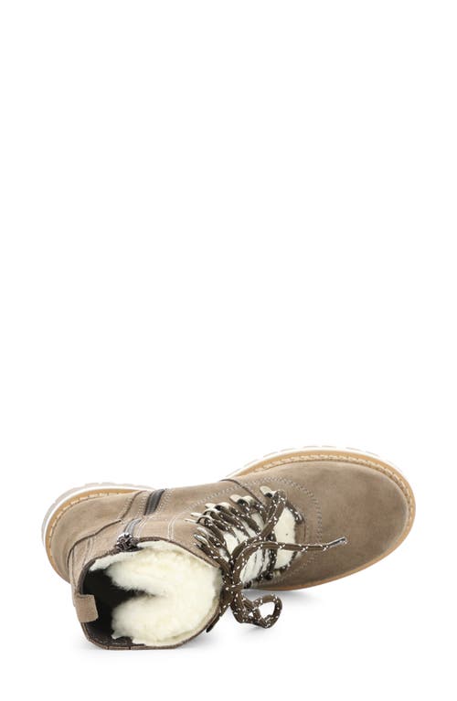 Bos. & Co. Ada Shearling Lace Boot In Taupe In Taupe Suede/merino Wool