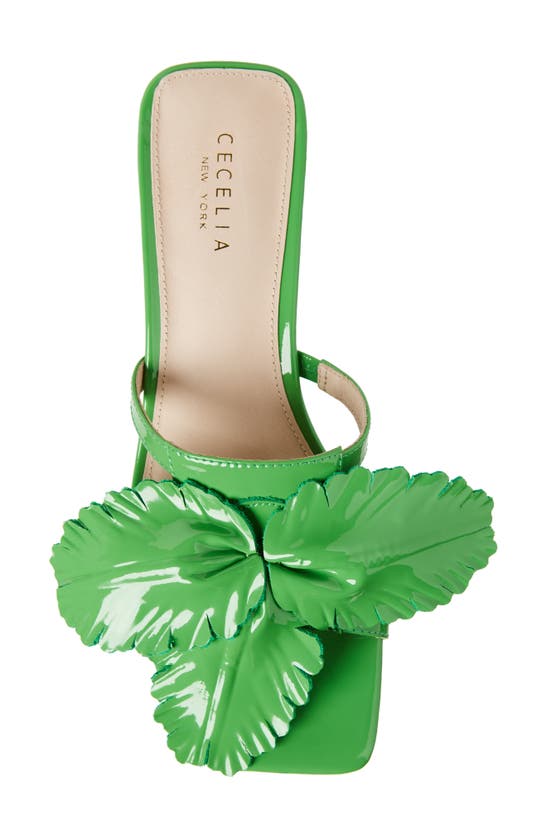 Shop Cecelia New York Happy Leather Sandal In Green Liquid Patent