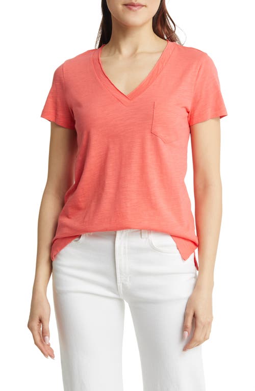 caslon(r) V-Neck Short Sleeve Pocket T-Shirt in Coral Glow