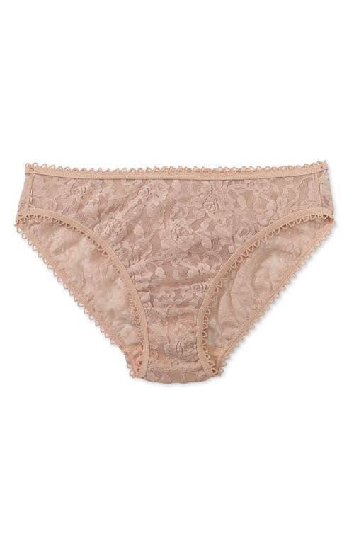 Shop Hanky Panky Lace Bikini In Chai