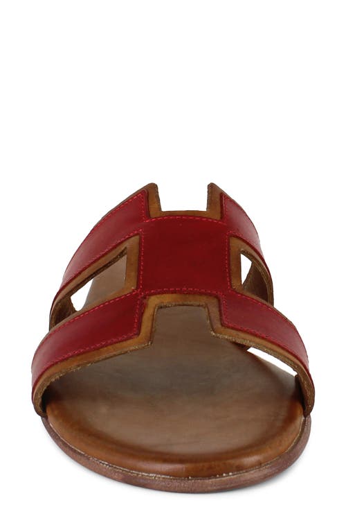 Shop Artisan Crafted By Zigi Alitza Leather Sandal In Red