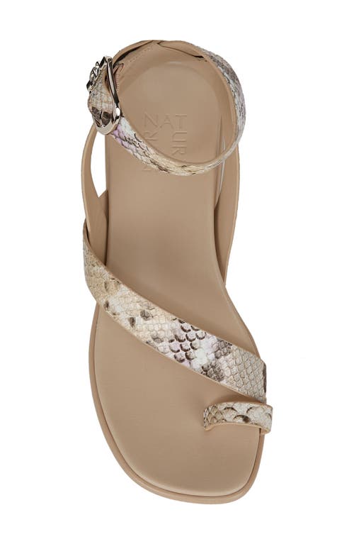 Shop Naturalizer Birch Ankle Strap Sandal In Tan/lilac Snake Print Leather