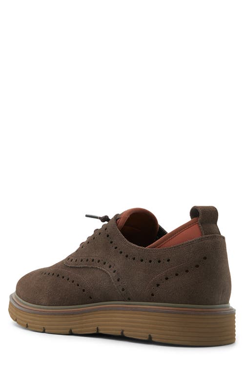 Shop Ted Baker Colindale Wingtip Oxford In Dark Brown