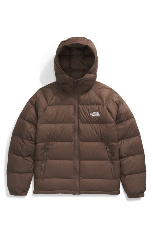 Shop The North Face Hydrenalite 600 Fill Power Down Hooded Jacket In Smokey Brown