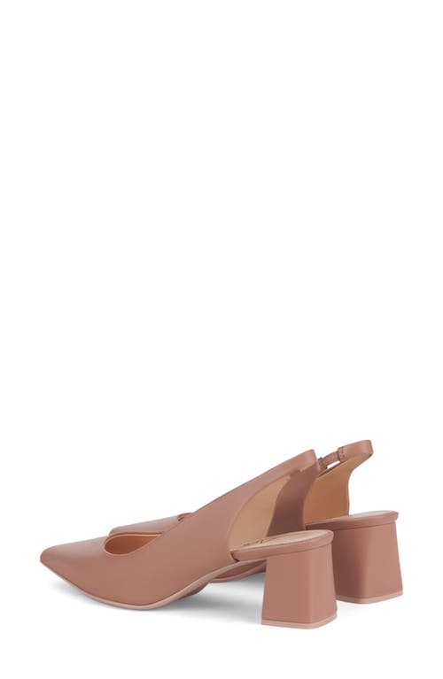 Shop Agl Attilio Giusti Leombruni Agl Dodi Slingback Pointed Toe Pump In Tanny