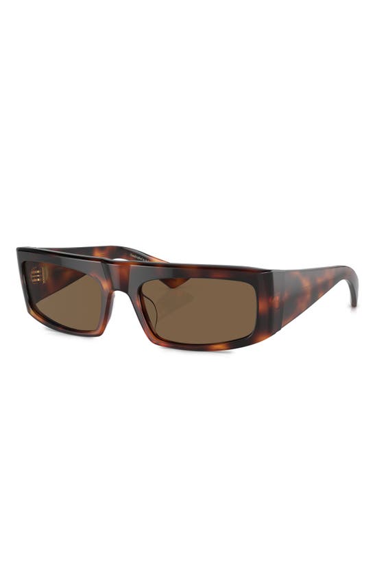 Shop Oliver Peoples X Khaite 1979c 56mm Rectangular Sunglasses In Brown