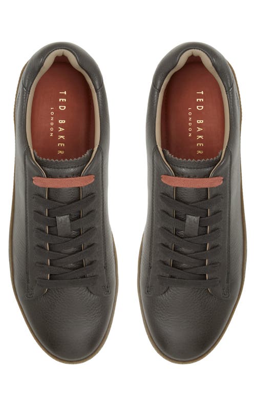 Shop Ted Baker Westwood Sneaker In Dark Brown