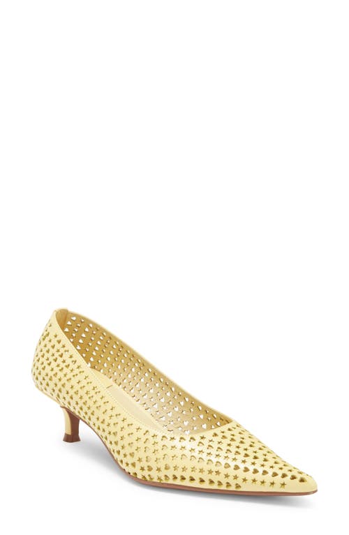 Jeffrey Campbell Alter-Ego Kitten Heel Pump at Nordstrom,