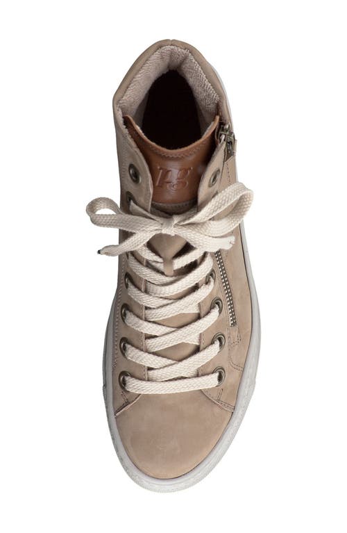 Paul Green Wells High Top Sneaker In Alpaca Cognac Combo