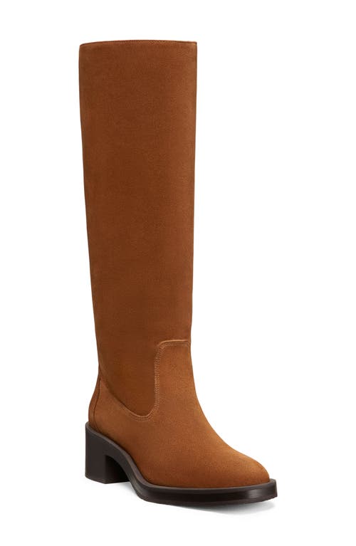 Shop Stuart Weitzman Kaia Knee High Boot In Coffee