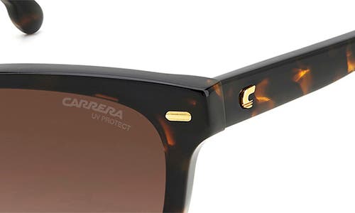 Shop Carrera Eyewear 54mm Cat Eye Sunglasses In Havana/brown Gradient