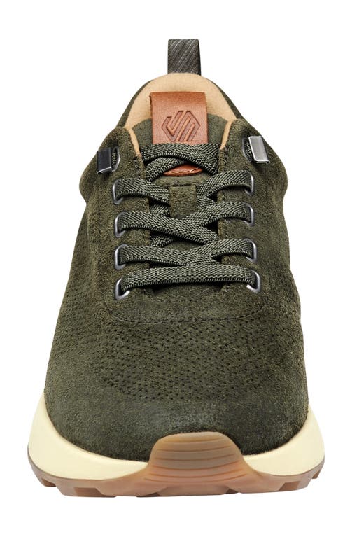 Shop Johnston & Murphy Kinnon Perforated Leather Jogger Sneaker In Olive Oiled Suede