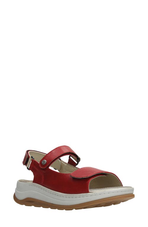 Shop Wolky Adura Slingback Platform Sandal In Red Biocare