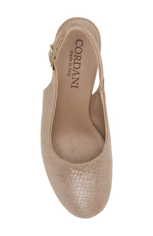 Cordani Torrie Platform Slingback Pump In Champagne/fango