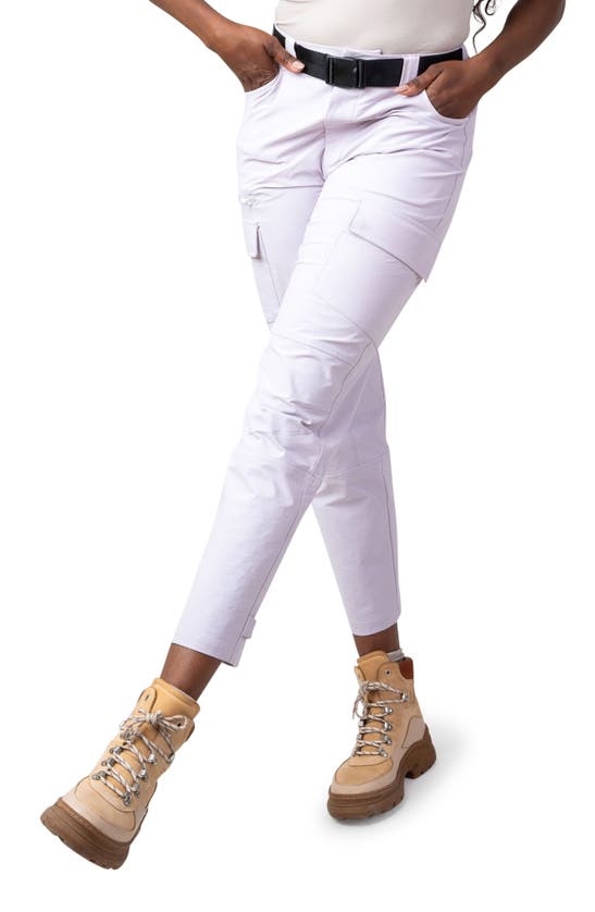 Alder Take A Hike Water Resistant Cargo Pants In Iris