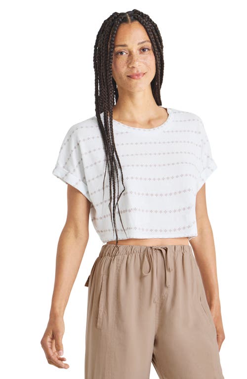 Shop Splendid Skyler Pointelle Crop T-shirt In Rattan Stripe