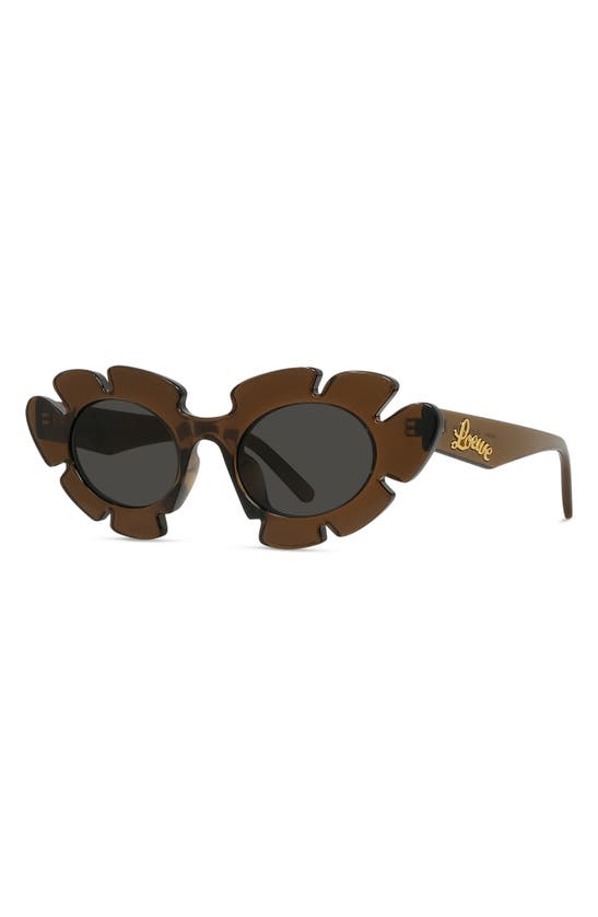 Shop Loewe X Paula's Ibiza 47mm Cat Eye Sunglasses In Light Brown/ Other / Smoke