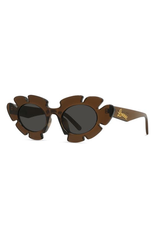 Shop Loewe X Paula's Ibiza 47mm Cat Eye Sunglasses In Light Brown/other/smoke