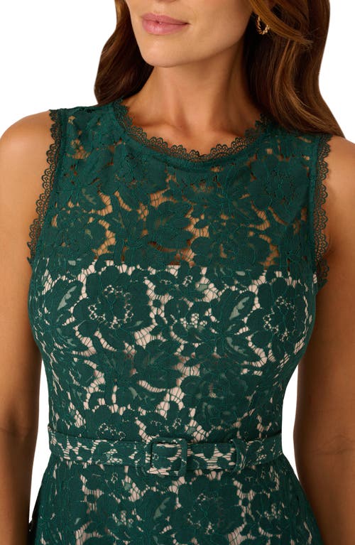 ADRIANNA PAPELL ADRIANNA PAPELL BELTED SLEEVELESS LACE MIDI DRESS