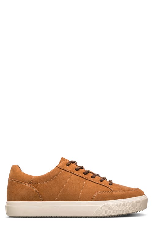 Clae Monroe Venice Leather Sneaker In Wheat Nubuck