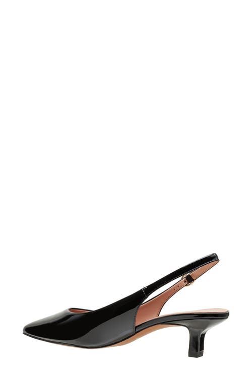 Shop Linea Paolo Cecil Slingback Pointed Toe Kitten Heel Pump In Black