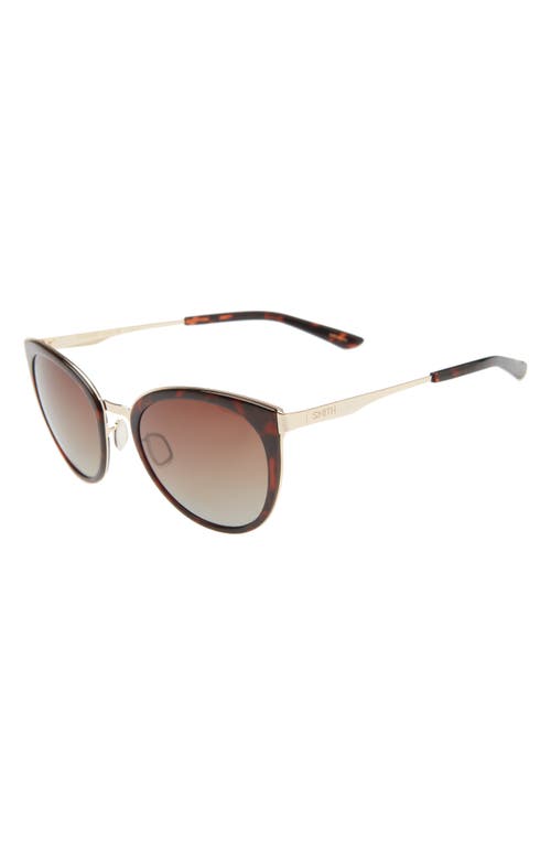 Shop Smith Somerset 53mm Polarized Cat Eye Sunglasses In Tort/brown Gradient