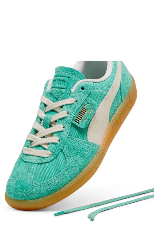 Shop Puma Palermo Sneaker In Jade Frost-frosted Ivory-gum