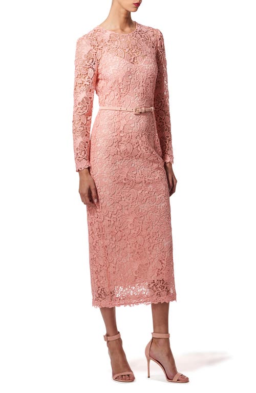 Carolina Herrera Long Sleeve Guipure Lace Sheath Dress Blush at Nordstrom,