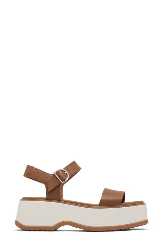 Shop Sorel Dayspring Ankle Strap Platform Sandal In Velvet Tan/ Chalk