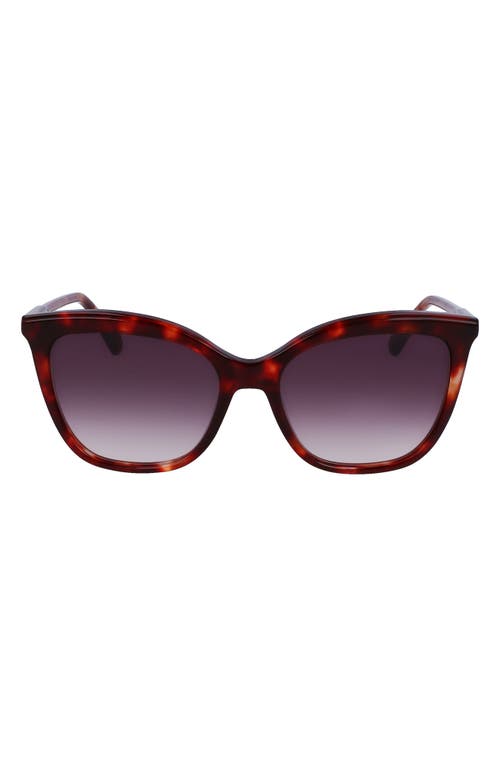 Longchamp 53mm Rectangular Sunglasses in Red Havana at Nordstrom