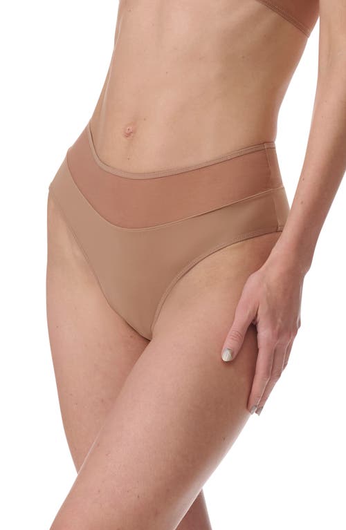 Wolford Mesh Panel Briefs In Macchiato