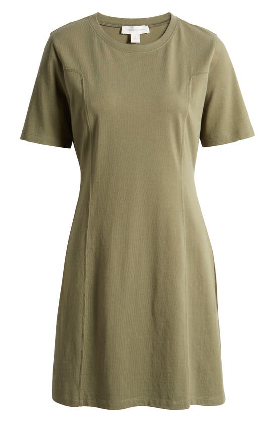 Shop Treasure & Bond Seamed Organic Cotton T-shirt Dress In Olive Kalamata